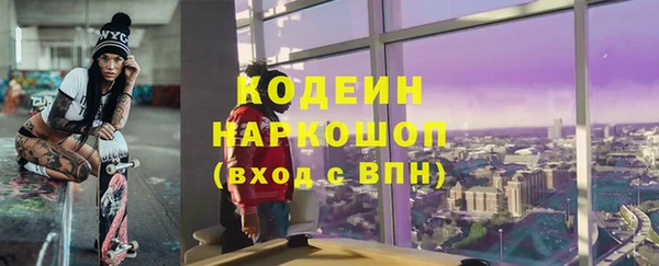spice Кирсанов